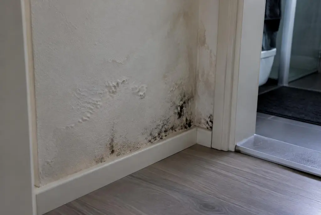 Lekdetectie Heemskerk – vochtplek met schimmel op een muur